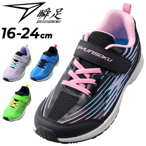 u LbY WjA Xj[J[ 2E 16-24cm qC 񂻂 GX ANZ[^ | j̎q ̎q qǂ ^C ʊw ^ w ̈  }WbNe[v C LbYXj[J[ V[