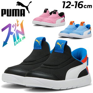  v[} xr[V[Y LbY 12-16cm qC g킸TbƗ Xb| PUMA R[gtbNX V3 C[YC Xj[J[ ܂ܗ nht[ qǂp ǂ 