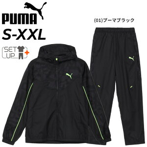  v[} EBhu[J[ Y ㉺ PUMA FOUNDATION ubVh gRbg E[uWPbg E[upc ZbgAbv X|[cEFA g[jO jp ㉺g H~ 