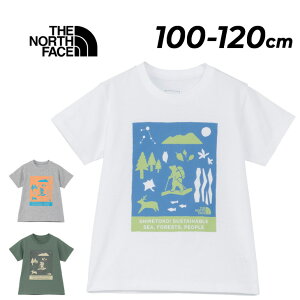  UEm[XEtFCX LbY  TVc THE NORTH FACE gh[ VgRgReB[ 100-120cm q mgR ܂ kC LN^[ vgT qǂ c  V