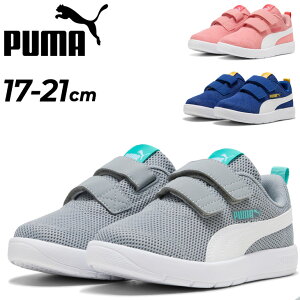 v[} LbY Xj[J[ WjAV[Y PUMA R[gtbNX V3 bV 17-21cm qC y ʋC ʃt@Xi[ xg^Cv X|[eB JWAV[Y qǂ WjAXj[