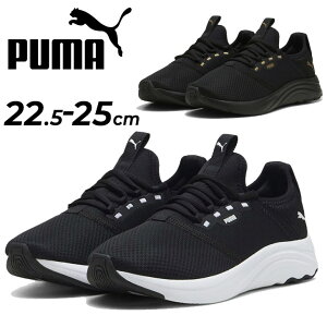  v[} Xj[J[ fB[XV[Y PUMA SOFTRIDE \tgCh AA [Jbg fB[XXj[J[ fC[ ^EJWA p ^C jO X|[eB wlC