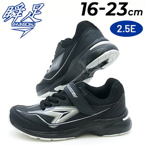  u LbY WjA Xj[J[ j̎q 2.5E 16-23cm qC V\NV10 JWAV[Y qǂ j {[CYXj[J[ ^C ʊw w wZ ̈ ^ ʉ 