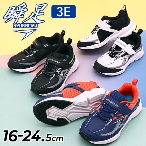  u Xj[J[ LbY WjA j̎q L3E 16-24.5cm qC V\N EgCh LbYV[Y ^C y Ch݌v qǂ j {[CY w ʊw ̈ wZ ^