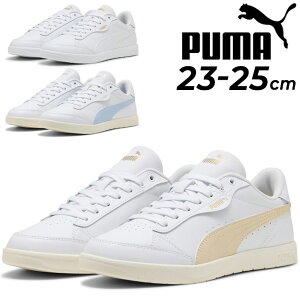  v[} Xj[J[ fB[X V[Y PUMA rbL[ X^[b[Jbg R[gX^C R[gXj[J[ p [vt@C fB[XXj[J[ Vv X|[eB 