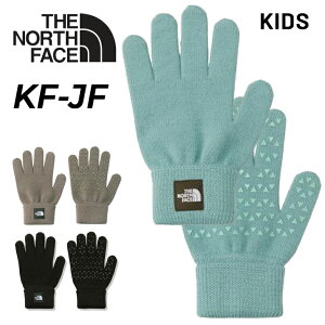 UEm[XEtFCX LbY WjA jbgO[u  THE NORTH FACE qǂp  { ĂԂ j̎q ̎q ۉ hObY AEghA JWA j  uh H~ q