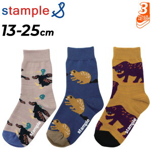 X^v 3g C LbY WjA 13-25cm stample ƂƂAj} N[\bNX 3P  N} C^` J Aj}   ׂ~ q ̎q j̎q LbY\bNX 