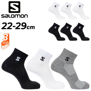 �T������ �C�� 3���g �A���N���\�b�N�X 22-29cm �����Y ���f�B�[�X SALOMON EVERYDAY LITE QUARTER 3-PACK �A���N���� �X�|�[�c�\�b�N�X 3P 3���Z�b�g �j�����p �y�� �ʋC�� ���j�Z�b�N�X�\�b�N�X ���� ��
