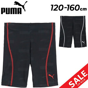 v[} LbY WjA  j̎q XN[ PUMA OOX AOP XCpc 120-160m XCEFA Xpbc j {[CY XC~O wZ ̈ qǂ ǂ uh Ap/