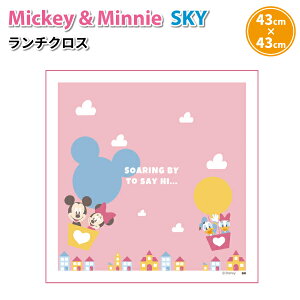 fBYj[ SKY `NX 43×43cm 킢 ٓ C~ q ct ۈ牀   c q H  ~bL[ ~j[ ̎q ٓNX