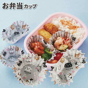 ٓJbv lR̂܂ ہEZbg R 22 킢 Jbv q jq l q Z w w ct  ۈ牀 ̎q ٓ  ^ L 