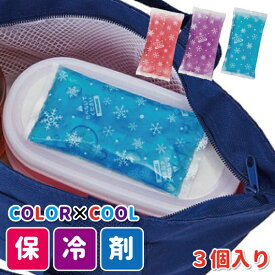 COLOR×COOL保冷剤 3個セット 小さい 保冷剤 大人 子供 男子 女子 幼稚園 保育園 小学生 中学生 高校生 お弁当 小さい保冷剤