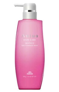 ~{ I[WA QUENCH Vv[ 500ml NG`