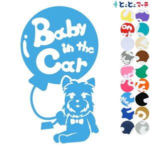 |Cg2{IyBaby in the carz [NVeA D x  XebJ[ KXpV[^Cv  }Olbg^CvIׂ遚 qĂ܂ xr[ C U J[ xr[C