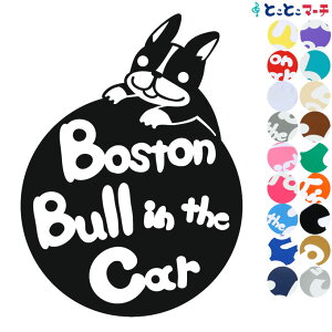 |Cg5{IyPet in the car Dog in the carz {XgeA-~ Ă܂ ybgĂ܂  x  XebJ[ KXpV[^Cv  }Olbg^CvIׂ遚 