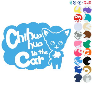 |Cg2{IyPet in the car Dog in the carz ` Ă܂ ybgĂ܂  x  XebJ[ KXpV[^Cv  }Olbg^CvIׂ遚 a v