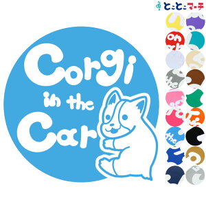 |Cg10{IyPet in the car Dog in the carz R[M[ ~ Ă܂ ybgĂ܂  x  XebJ[ KXpV[^Cv  }Olbg^CvIׂ遚 a