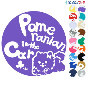 |Cg10{IyPet in the car Dog in the carz |jA̎q Ă܂ ybgĂ܂  x  XebJ[ KXpV[^Cv  }Olbg^CvIׂ