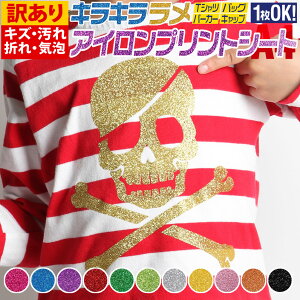 |Cg2{Iy󂠂zy1z A4TCY 20cm×30cm ACV[g Ob^[ACvgV[gJbeBOpACV[ JbeBOXebJ[ Ob^[V