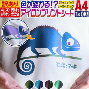 |Cg2{I󂠂 y1z A4TCYy20cm×30cmz Fς!?pxɂĐFω ACV[g ACvgV[gJbeBOpACV[ JbeBOXebJ