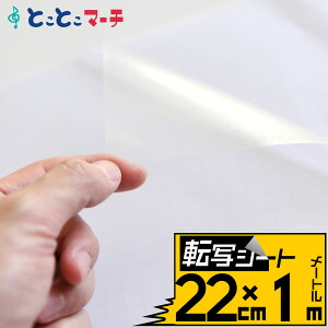 |Cg2{Iy]ʃV[g 22cm×1mz^bNV[ V[g ]ʃtB AvP[VV[g AvP[VtB JbeBOV[ JbeBOXebJ[p