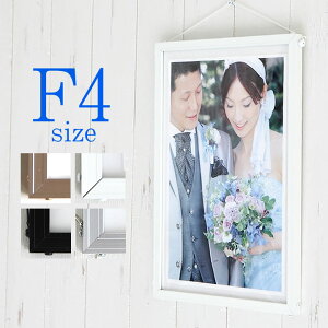 |Cg5{IyF4(242×333mm)zz |X^[t[ A~t[ A~pl y EȒP ޗpTCYł肵 |X^[ Vo[() S[h  ubN z