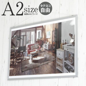 |Cg5{IyA2TCY(420×594mm)zz |X^[t[ pl z vŋx@唻TCY̕Lt[I |X^[ A~ Vo[ Vo[() w v[g