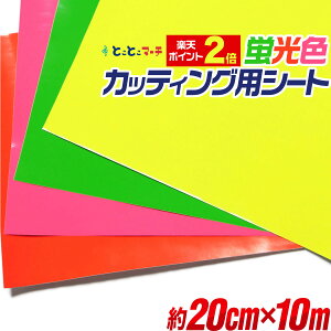 |Cg2{Iy20cm×10mzuV[g uJ[JbeBOpV[g 10[g JbeBOV[ JbeBOXebJ[ F ΐF F F ؂蔄 XebJ[V[g ≮ 