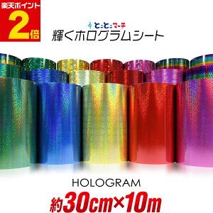 |Cg2{Iy30cm×10mz J[zOV[g 10[g JbeBOpV[g JbeBOV[ JbeBOXebJ[ RT[gp fR[V zO