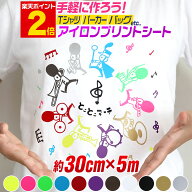 ポイント2倍！【約30cm×約5m】 アイロンシート アイロンプリントシートカッティング用アイロンシール カ…