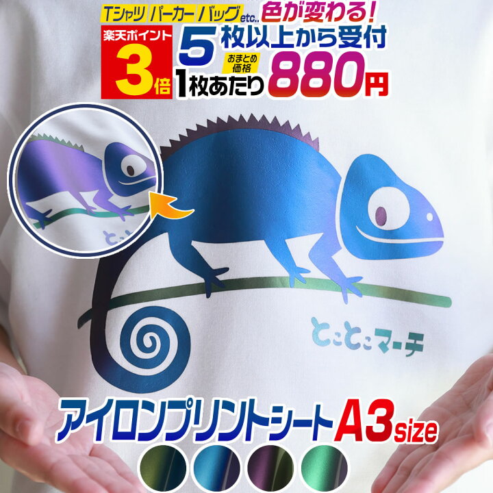 楽天市場】ポイント3倍！【セット割5】 A3サイズ【約30cm×約42cm】 色 