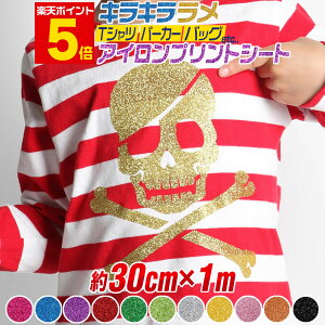 |Cg5{Iy30cm×1mz ACV[g Ob^[ACvgV[gJbeBOpACV[ JbeBOXebJ[ Ob^[V[g bh  S[h Vo