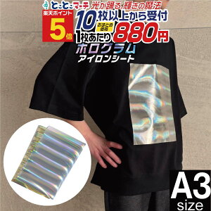 |Cg5{IyZbg10z A3TCYy30cm×42cmz zOACV[g ACvgV[gJbeBOpACV[ TVc  M]ʃo[V[g RXvߑ S