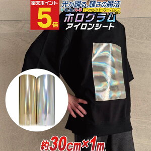 |Cg5{Iy30cm×1mz zOACV[g ACvgV[gJbeBOpACV[ TVc  Rbg o[V[g RXvߑ S[h Vo[