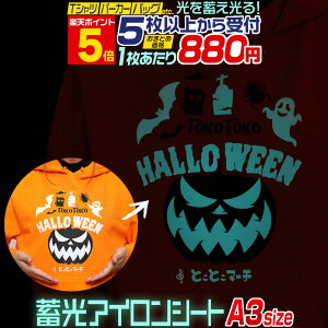 ポイント5倍!【セット割5】 A3サイズ【約30cm×約42cm】 蓄光アイロンシート 夜光アイロンプリントシートカッティングアイロンシール カッティングステッカー 蓄光シート ブルーグリーン光