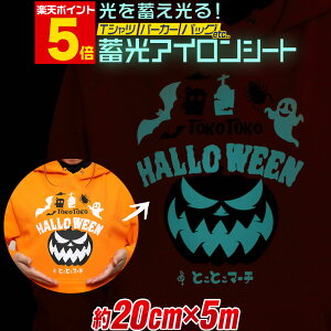 |Cg5{Iy20cm×5mz ~ACV[g ACvgV[gJbeBOACV[ JbeBOXebJ[ ~V[g  zCg u[O[F TVc 