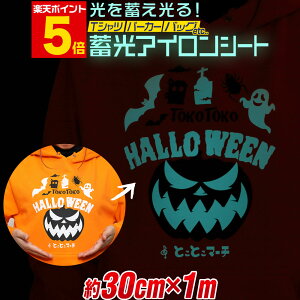 |Cg5{Iy30cm×1mz ~ACV[g ACvgV[gJbeBOACV[ ~V[g  zCg u[O[F TVc  Rbg o[V[g 