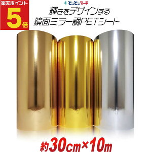 |Cg5{Iy30cm×10mz PETʃ~[V[g JbeBOpV[g JbeBOV[ JbeBOXebJ[ RT[gp fR[V   S[h V