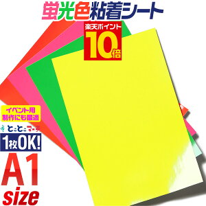 |Cg10{IA1TCY y60cm×84cmzy1\z uV[g uV[ uJ[JbeBOpV[g JbeBOV[ JbeBOXebJ[ ؂蔄 RT[gp