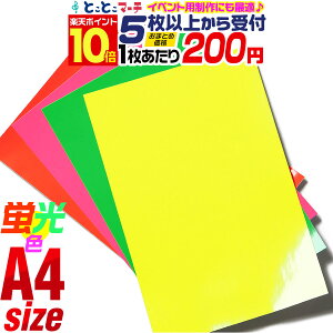 |Cg10{IA4TCY 20cm×30cm uV[g uV[ uJ[JbeBOpV[g yZbg5zJbeBOV[ JbeBOXebJ[ F ΐF F F XebJ[V