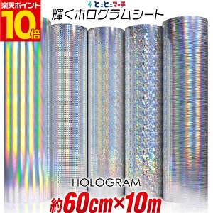 |Cg10{Iy60cm×10mz zOV[g 10[g JbeBOpV[g JbeBOV[ JbeBOXebJ[ RT[gp fR[V zOXeb