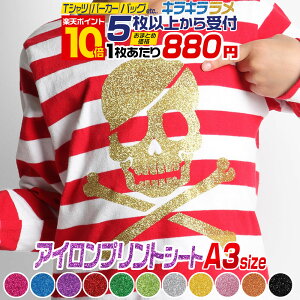 |Cg10{IyZbg5z A3TCYy30cm×42cmz ACV[g Ob^[ACvgV[gJbeBOpACV[ F sN O[ bh S[h Vo