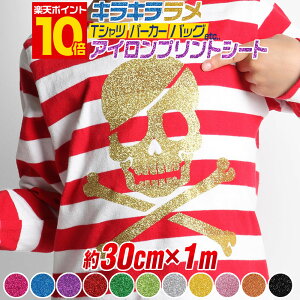 |Cg10{Iy30cm×1mz ACV[g Ob^[ACvgV[gJbeBOpACV[ JbeBOXebJ[ Ob^[V[g bh  S[h Vo