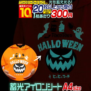 �|�C���g10�{�I�y�Z�b�g��20�z A4�T�C�Y�y��20cm×��30cm�z �~���A�C�����V�[�g ����A�C�����v�����g�V�[�g�J�b�e�B���O�A�C�����V�[�� �~���V�[�g �� �z���C�g �u���[�O���[�����F T�V���c 