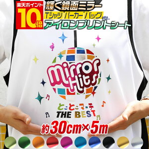 |Cg10{Iy30cm×5mz ʃbL ACV[g ACvgV[gJbeBOpACV[ JbeBOXebJ[ F sN O[ bh  S[h V