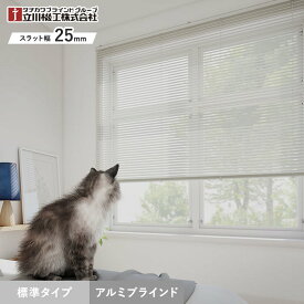 【ブラインド】【オーダー9,427円〜】アルミブラインド 立川機工 ファーステージ 標準タイプ__tkw-fir-24001
