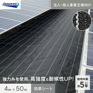 �y�h���V�[�g�z�y�@�l�E�l���Ǝ�l��p�z�C�m�x�b�N�X �h���V�[�g �_�C�I�O�����h�V�[�g �^�t�l�X 1515HB 4m×50m__iv15hb-4-1c