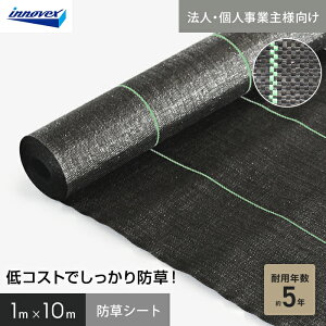 �y�h���V�[�g�z�y�@�l�E�l���Ǝ�l��p�z�C�m�x�b�N�X �h���V�[�g �X�^���_�[�h5 1m×10m 5�N__ivst5-110-1c