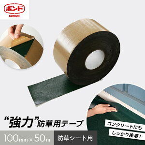 hV[gpe[v S 100mm×50m RjV__vf450-100