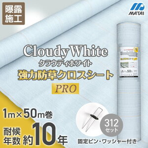 yhV[gz{}^C hV[g st ͖hNXV[gPRO zCg 10N 1m×50m__ddhc10665-p